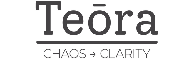 Website for systems improvement consultancy Teōra